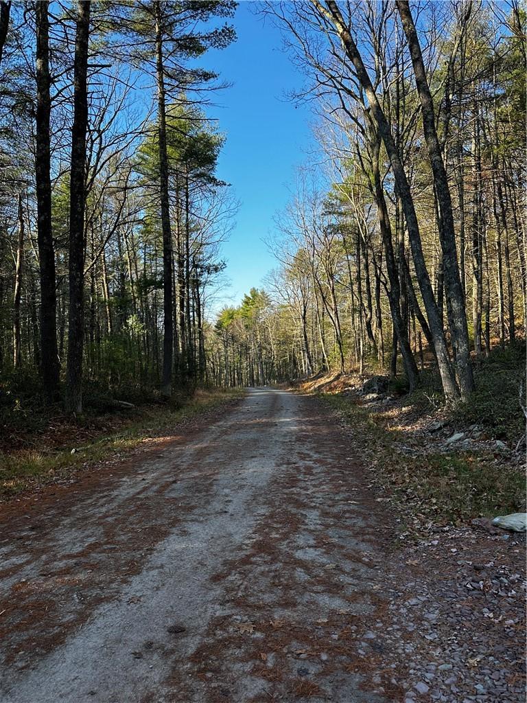 Hartwood Road, Forestburgh, New York image 8