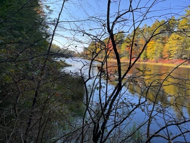 Hartwood Road, Forestburgh, New York image 3