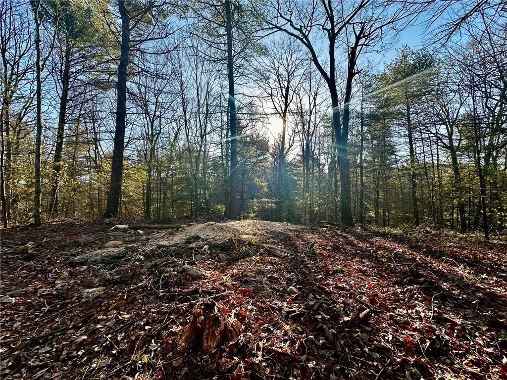 Hartwood Road, Forestburgh, New York image 11