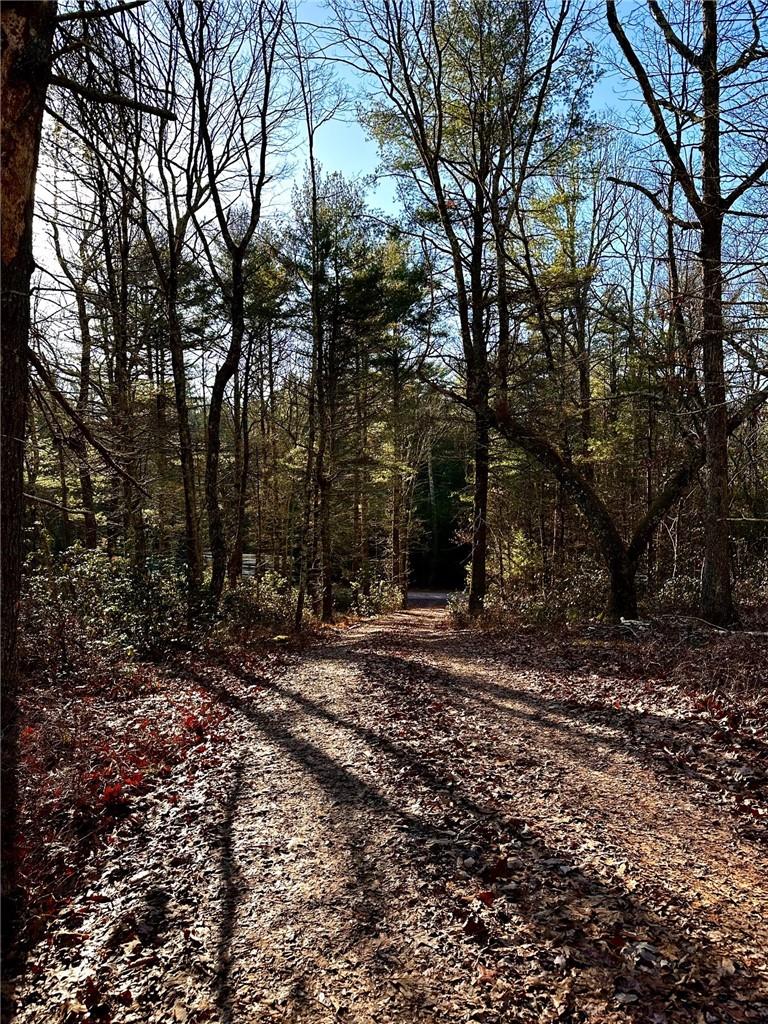 Hartwood Road, Forestburgh, New York image 13