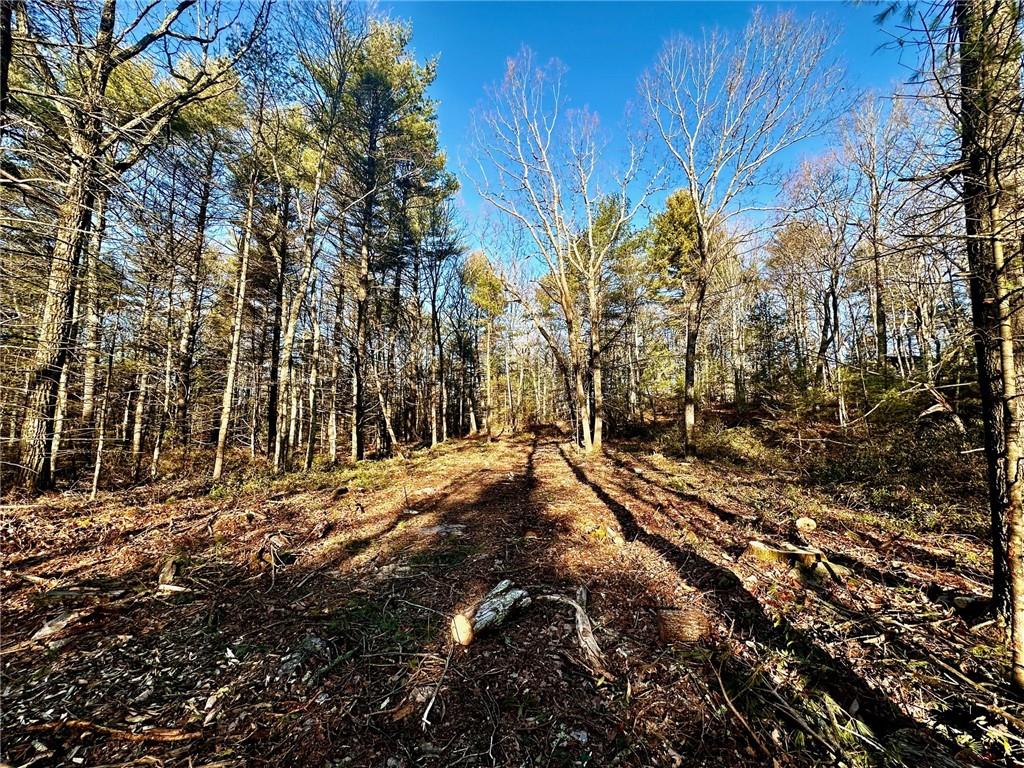 Hartwood Road, Forestburgh, New York image 10