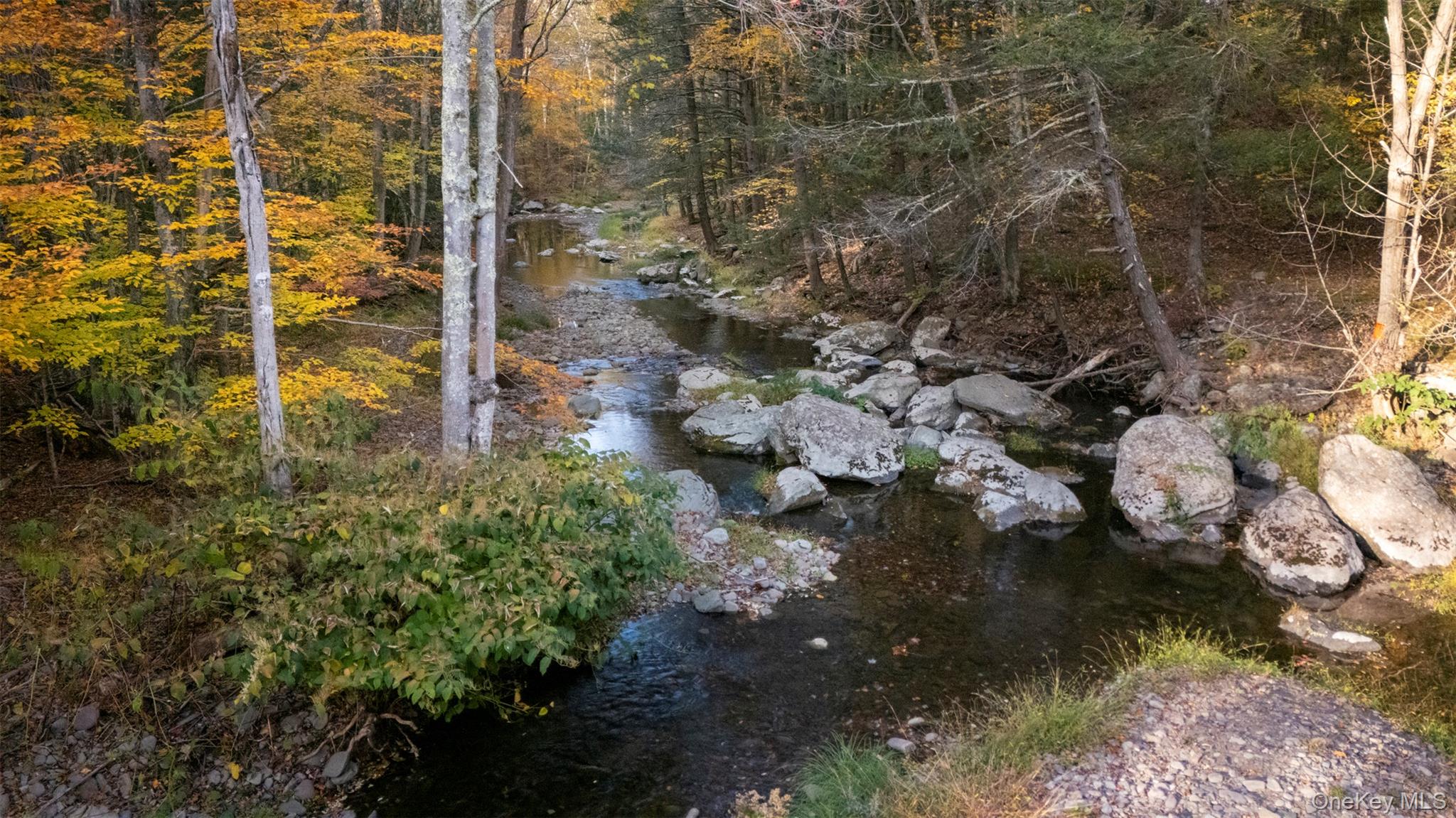 Cairo, New York 12473, United States, 3 Bedrooms Bedrooms, ,4 BathroomsBathrooms,Residential,Active,232131