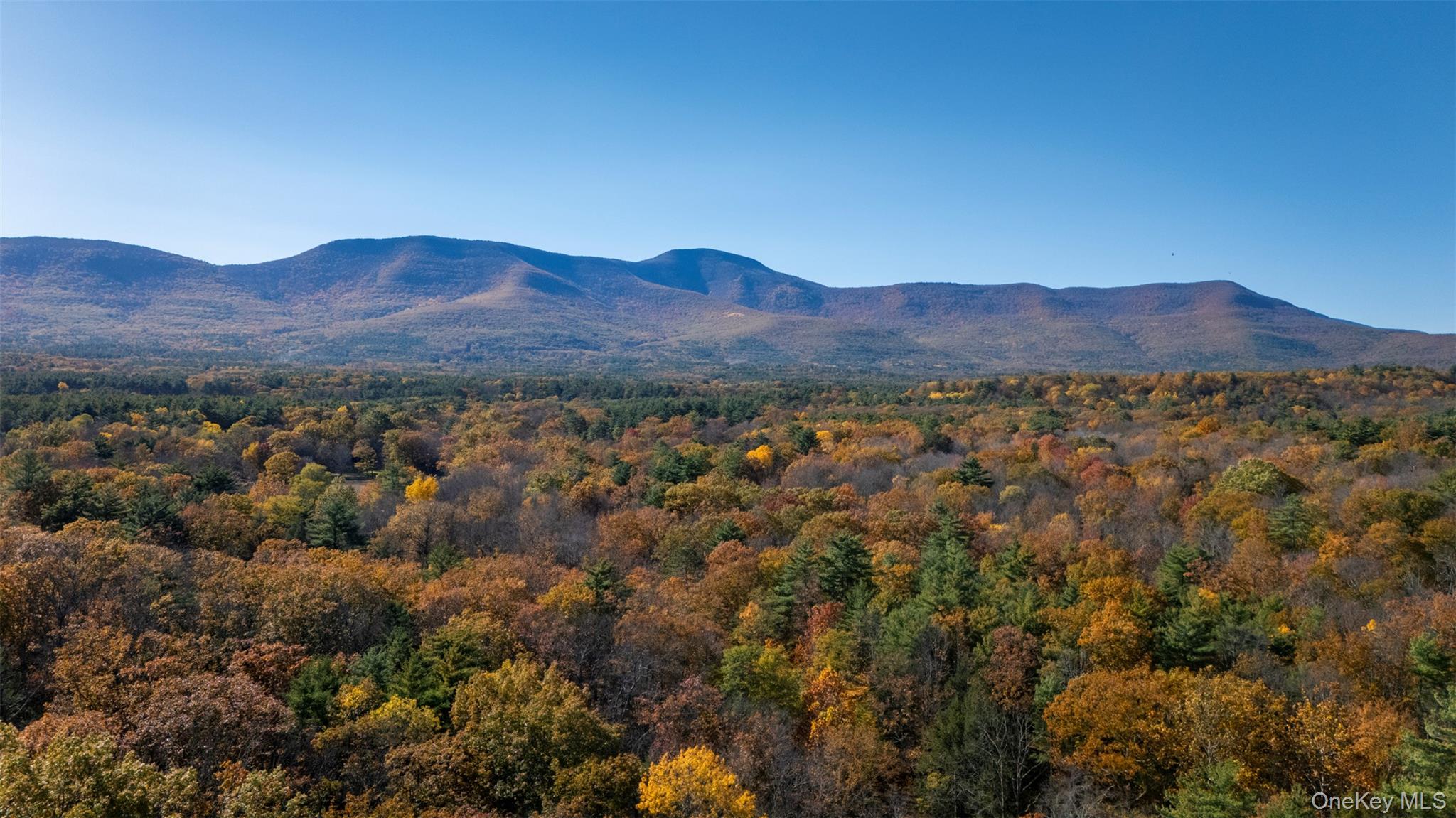 Cairo, New York 12473, United States, 3 Bedrooms Bedrooms, ,4 BathroomsBathrooms,Residential,Active,232131