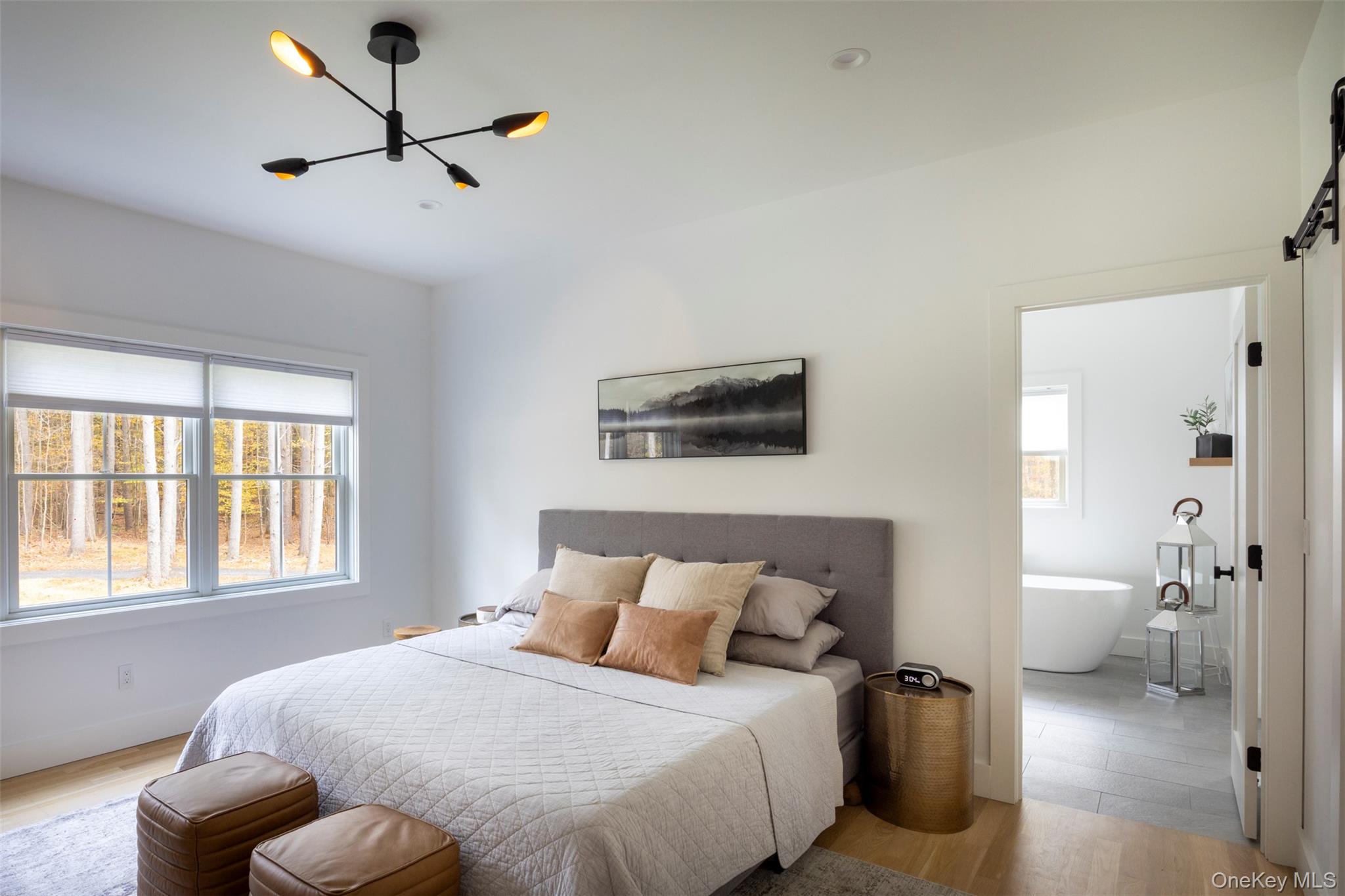 Cairo, New York 12473, United States, 3 Bedrooms Bedrooms, ,4 BathroomsBathrooms,Residential,Active,232131