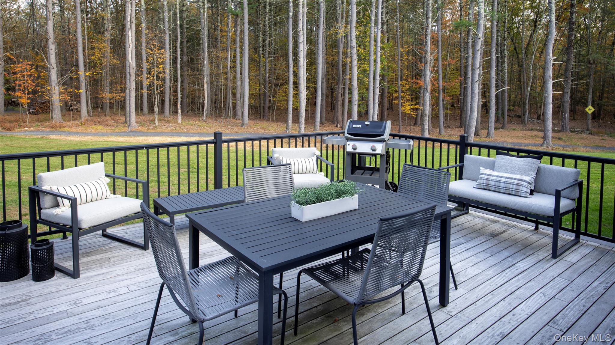 Cairo, New York 12473, United States, 3 Bedrooms Bedrooms, ,4 BathroomsBathrooms,Residential,Active,232131