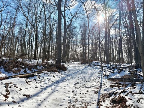 Vacant Land For Sale - 8 Maple Ridge Trail<br/> North Salem, NY 10560