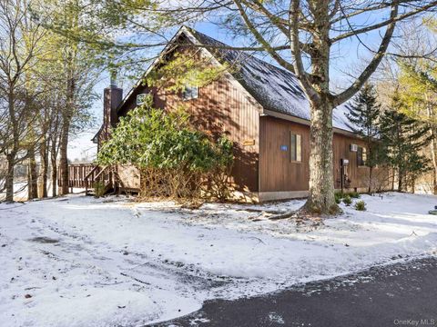 6 Lakeside Drive Monticello NY 12701