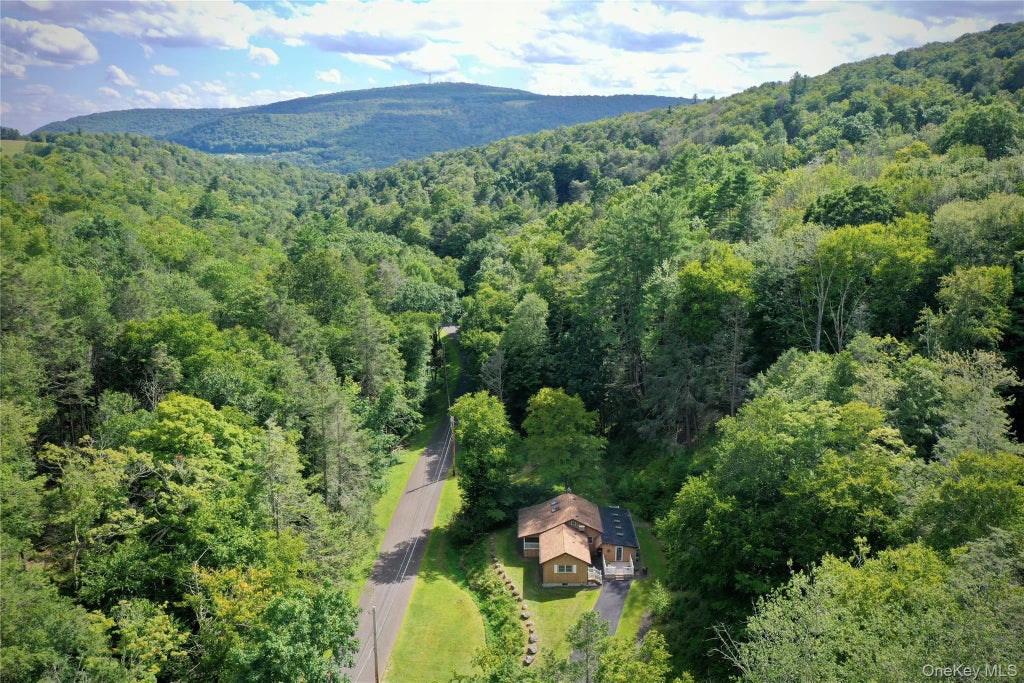 Photo of 283 Pepacton Hollow Road, Grahamsville, NY 12740 (MLS # 1044779)