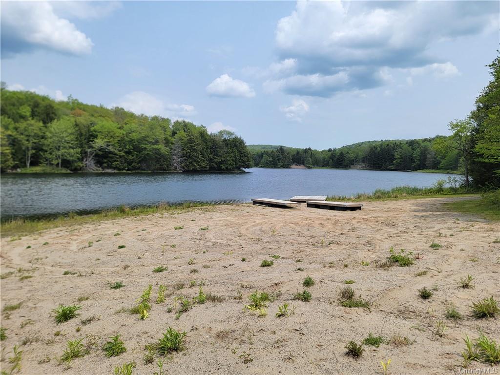 172 Eagles Ridge Way, Parksville, New York image 29
