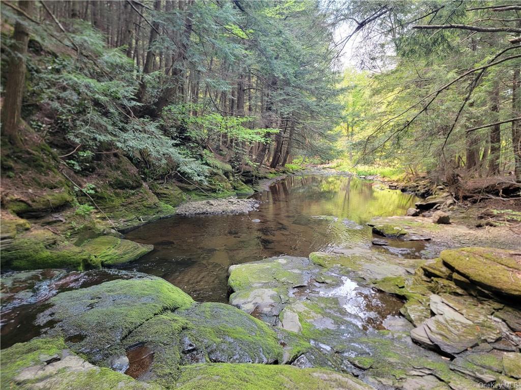 172 Eagles Ridge Way, Parksville, New York image 7
