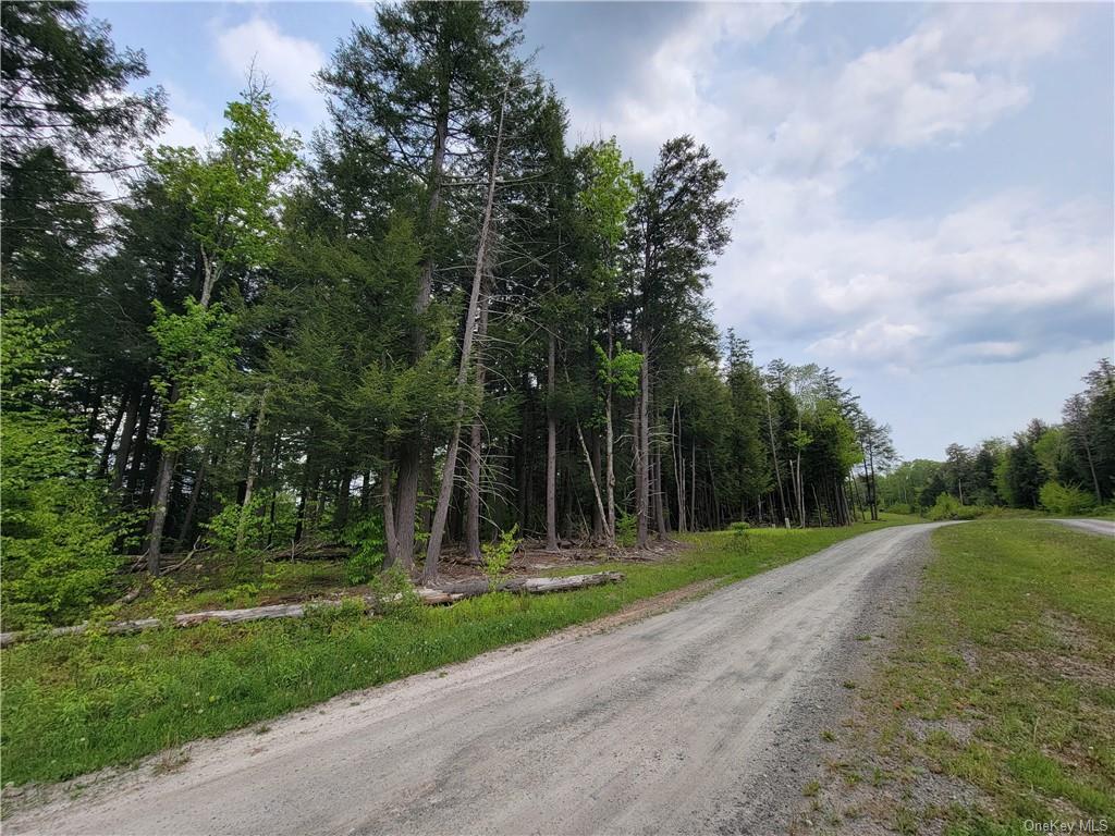 172 Eagles Ridge Way, Parksville, New York image 21