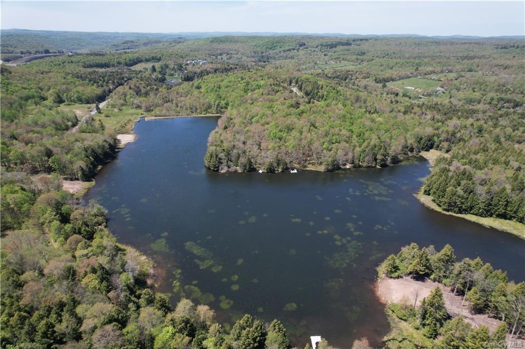 172 Eagles Ridge Way, Parksville, New York image 12
