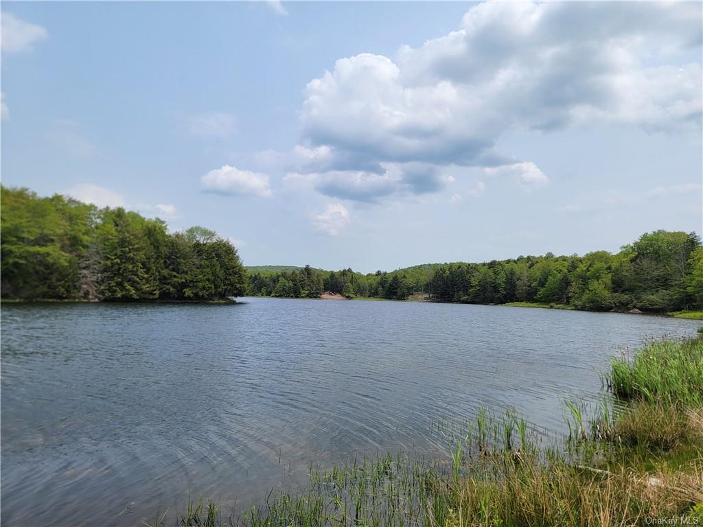 172 Eagles Ridge Way, Parksville, New York image 30