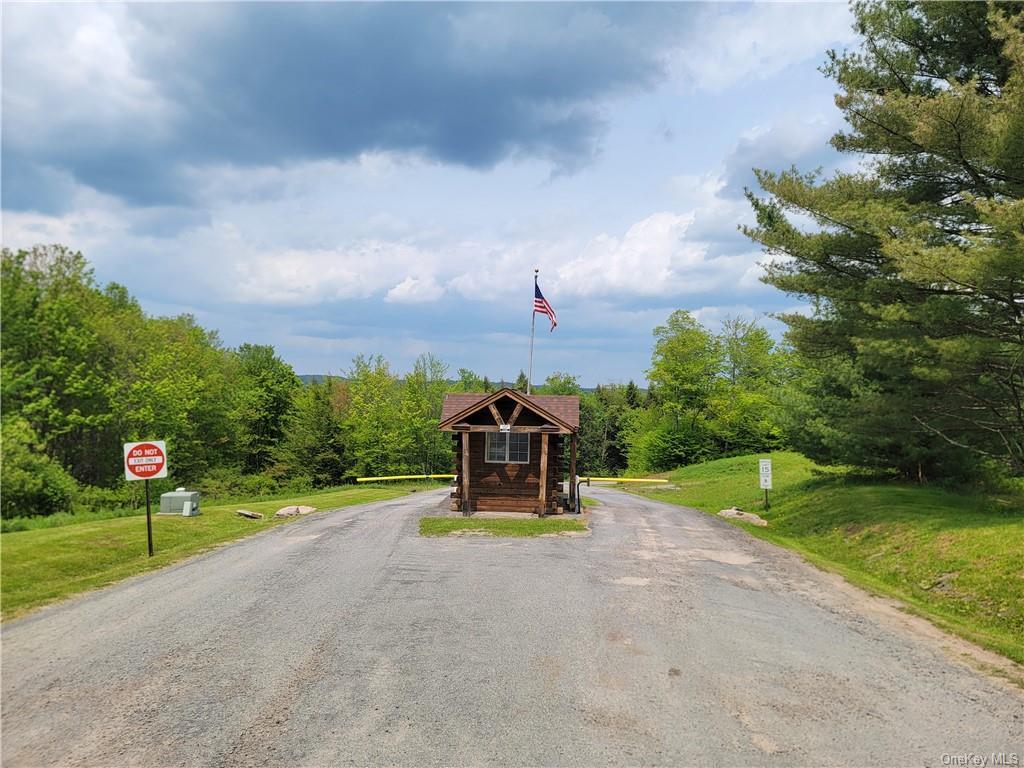 172 Eagles Ridge Way, Parksville, New York image 17
