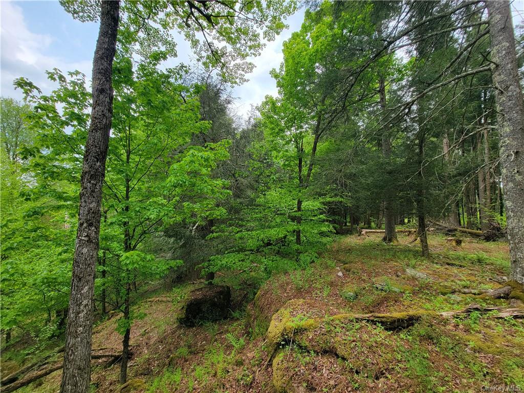 172 Eagles Ridge Way, Parksville, New York image 26