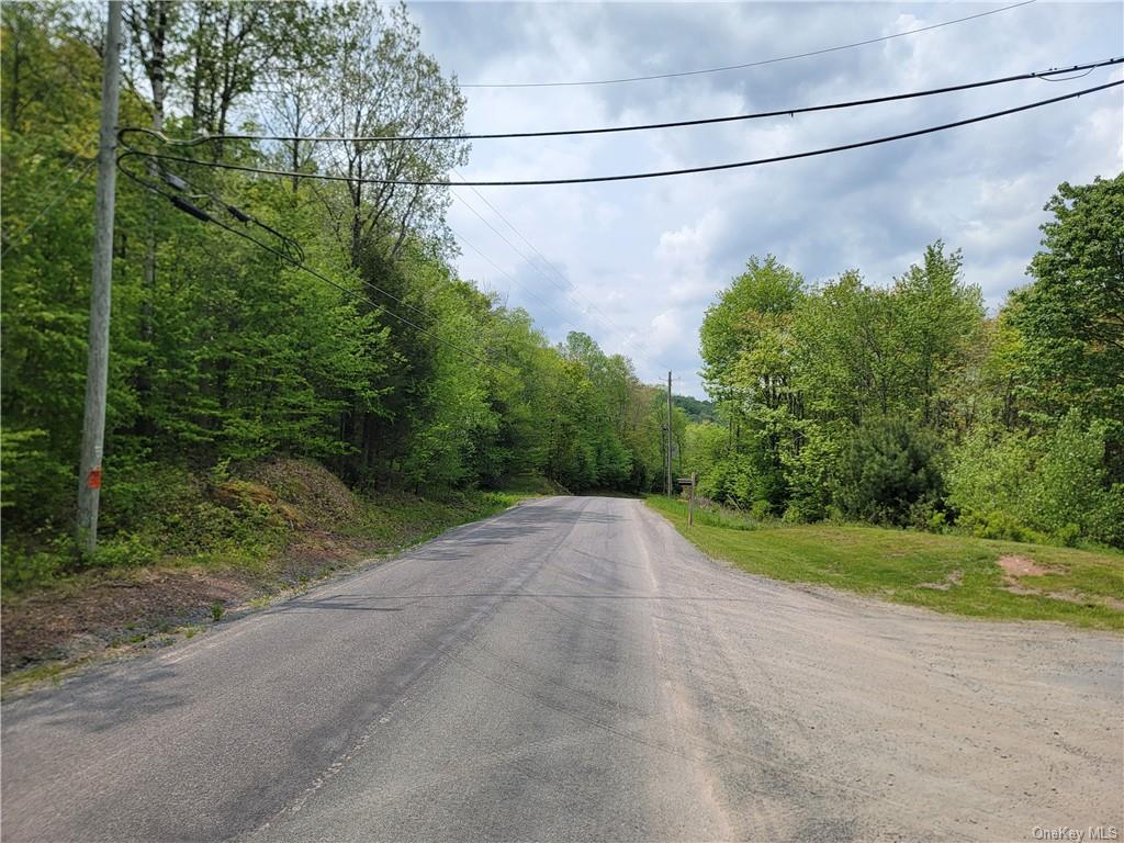 172 Eagles Ridge Way, Parksville, New York image 18