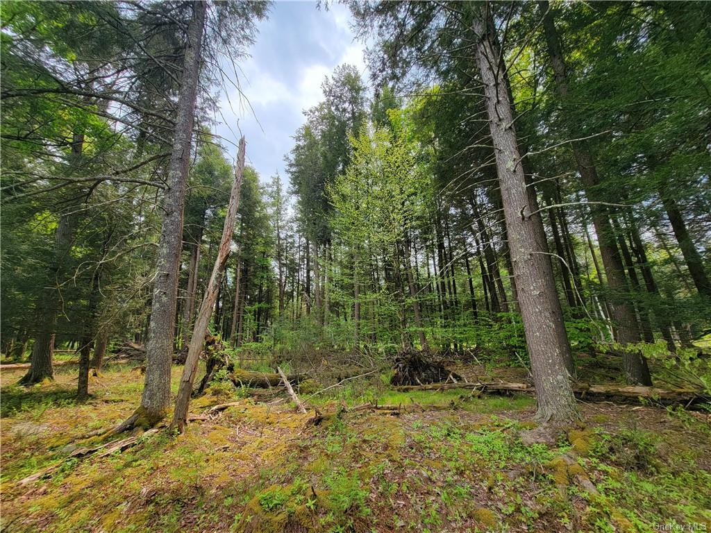172 Eagles Ridge Way, Parksville, New York image 23