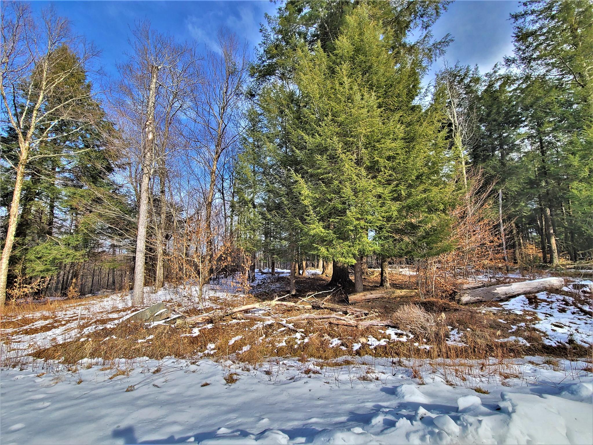 172 Eagles Ridge Way, Parksville, New York image 15