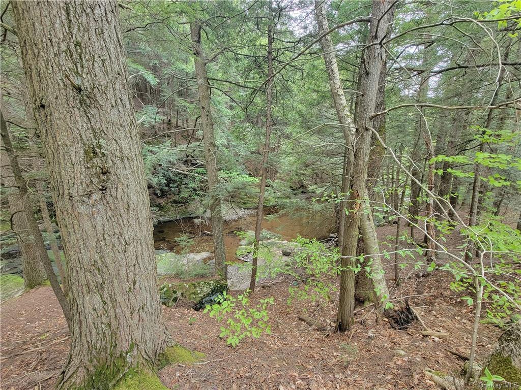 172 Eagles Ridge Way, Parksville, New York image 8