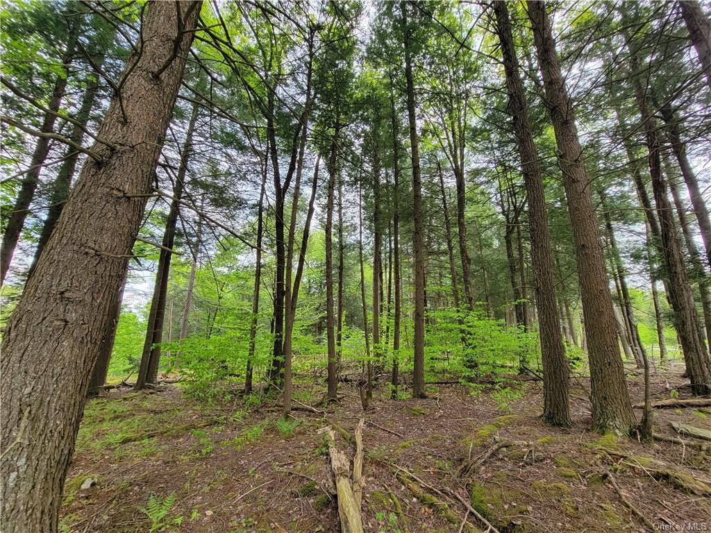172 Eagles Ridge Way, Parksville, New York image 28