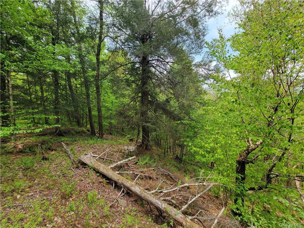 172 Eagles Ridge Way, Parksville, New York image 24
