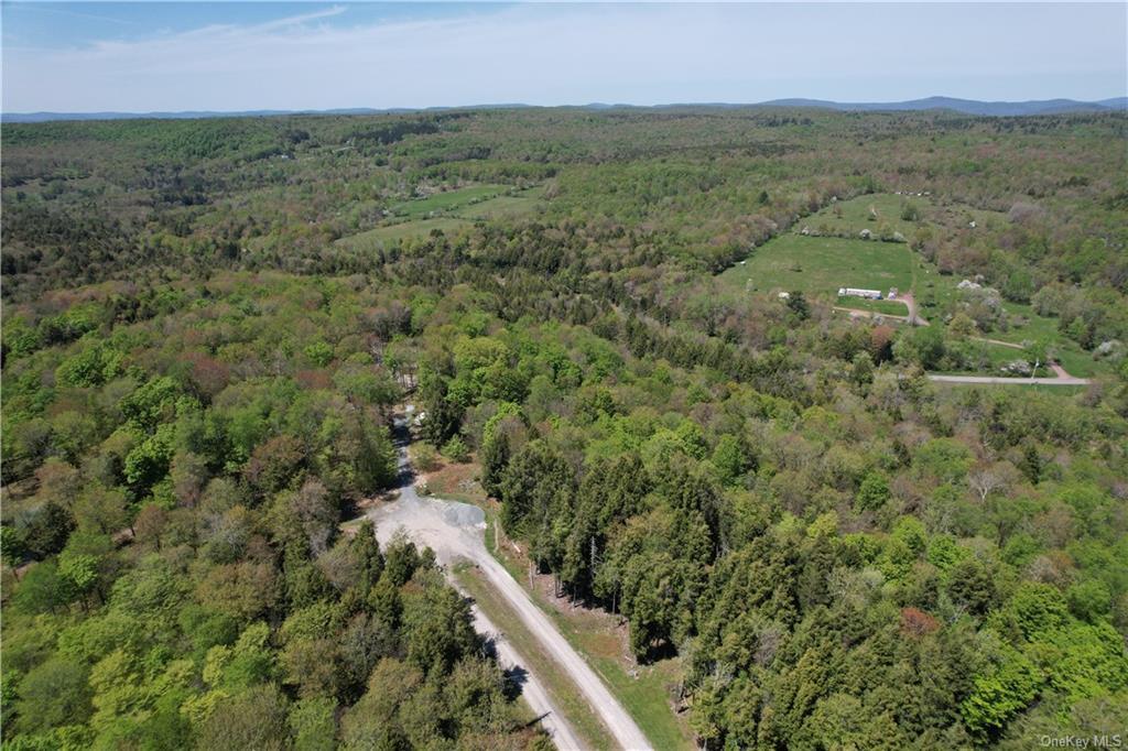 172 Eagles Ridge Way, Parksville, New York image 14