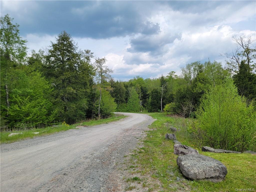 172 Eagles Ridge Way, Parksville, New York image 20