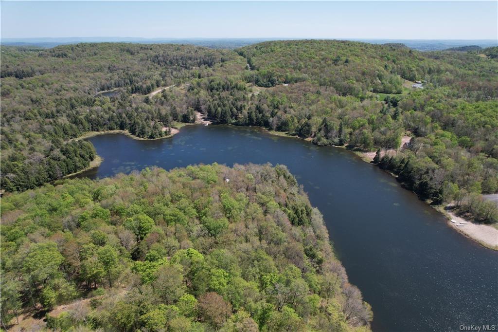 172 Eagles Ridge Way, Parksville, New York image 13