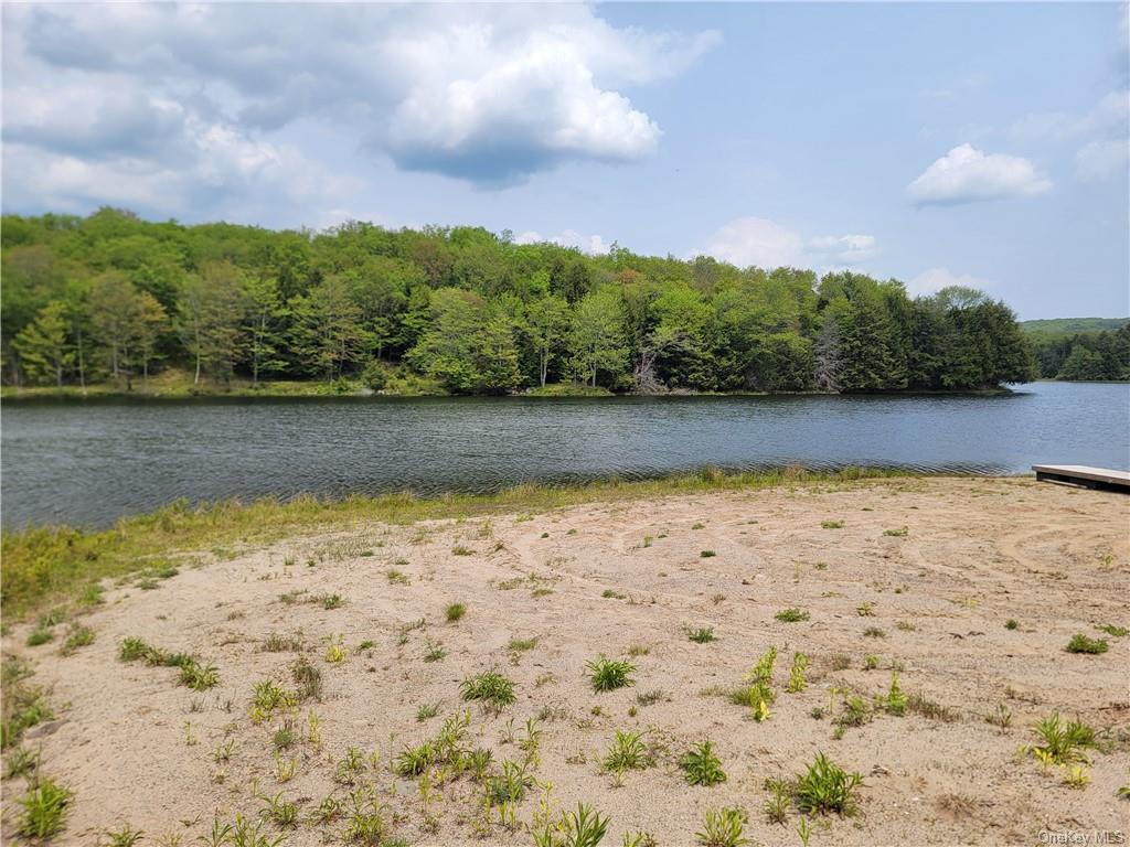 172 Eagles Ridge Way, Parksville, New York image 32