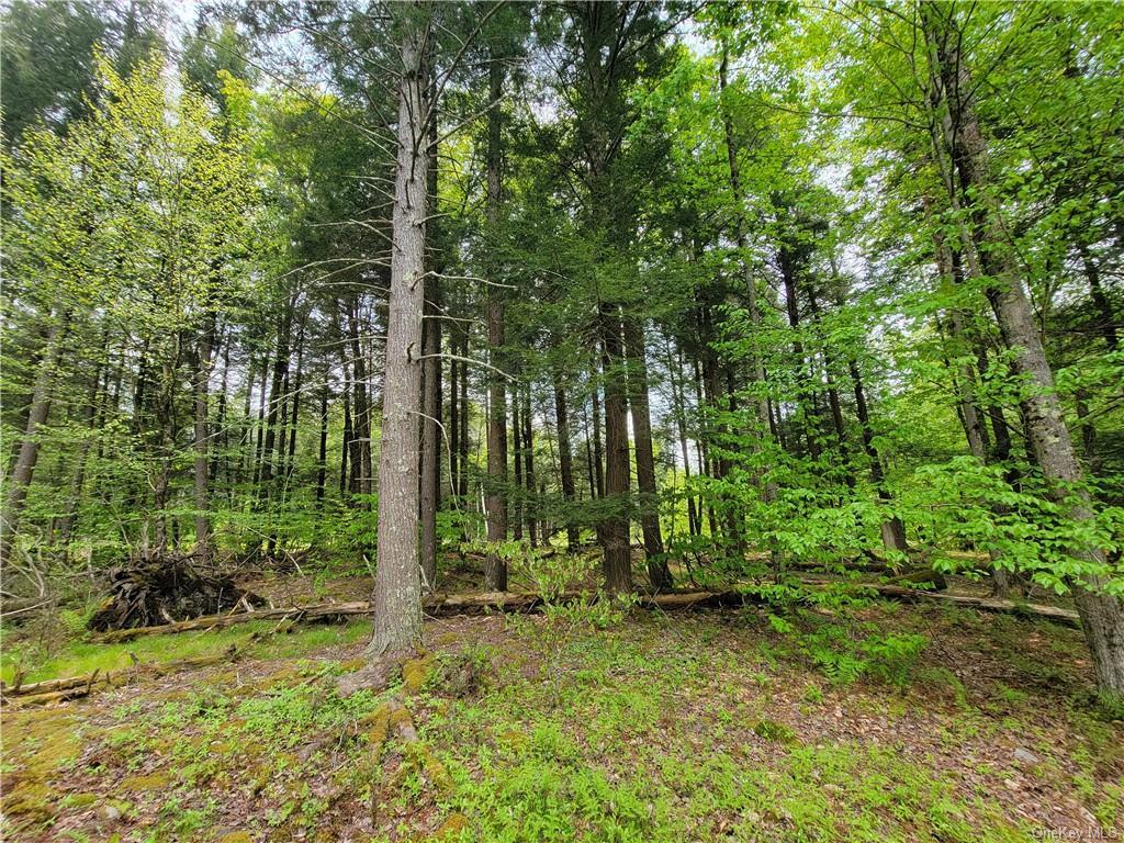 172 Eagles Ridge Way, Parksville, New York image 22