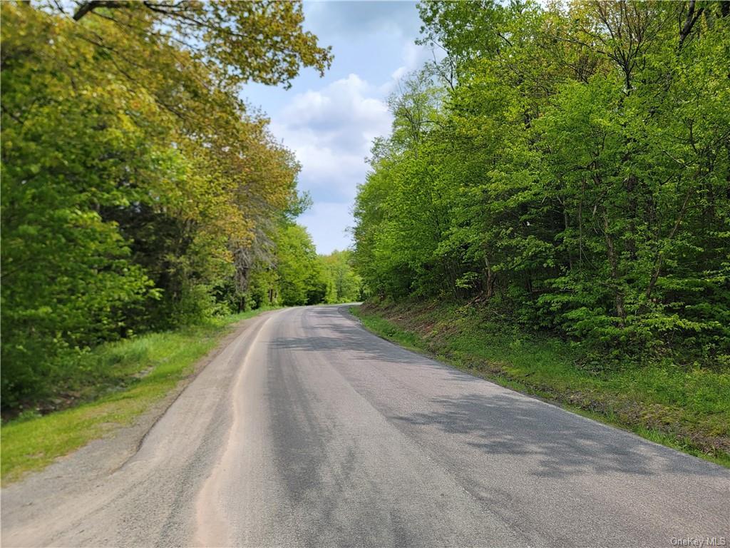 172 Eagles Ridge Way, Parksville, New York image 16