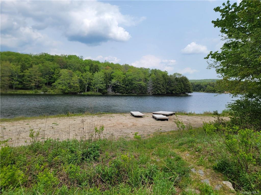 172 Eagles Ridge Way, Parksville, New York image 31