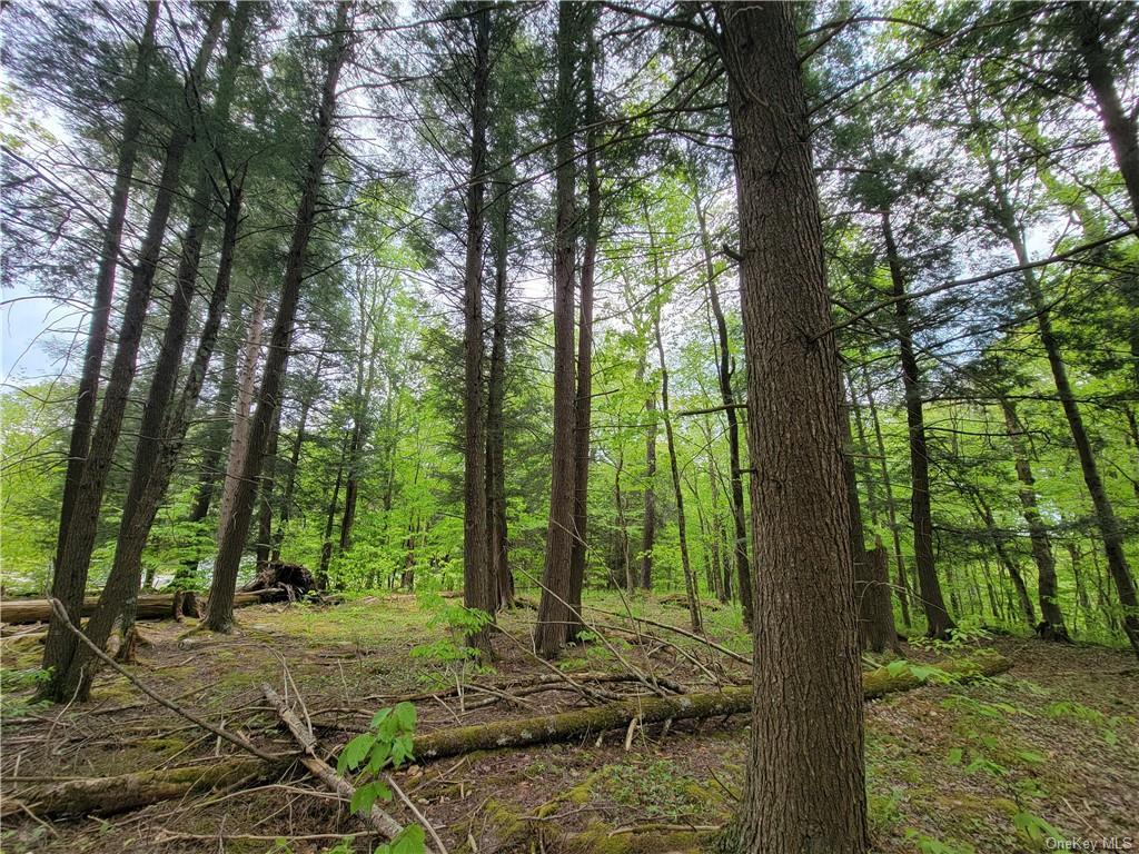 172 Eagles Ridge Way, Parksville, New York image 27