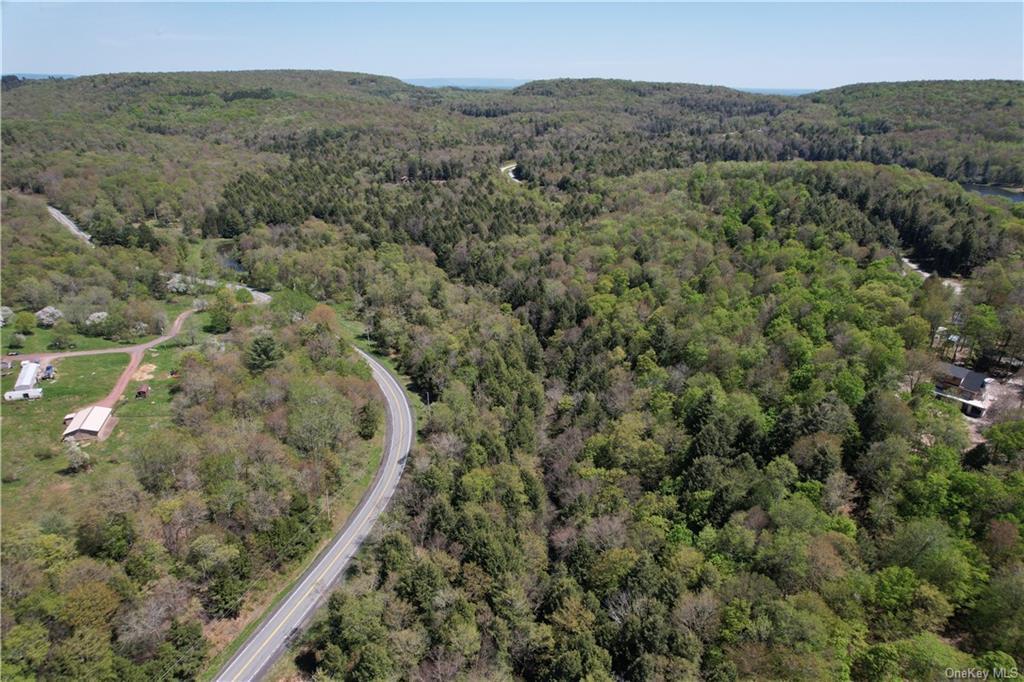 172 Eagles Ridge Way, Parksville, New York image 15