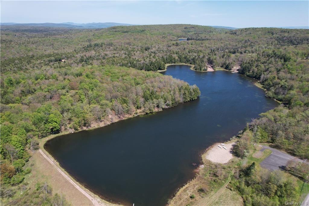 172 Eagles Ridge Way, Parksville, New York image 10