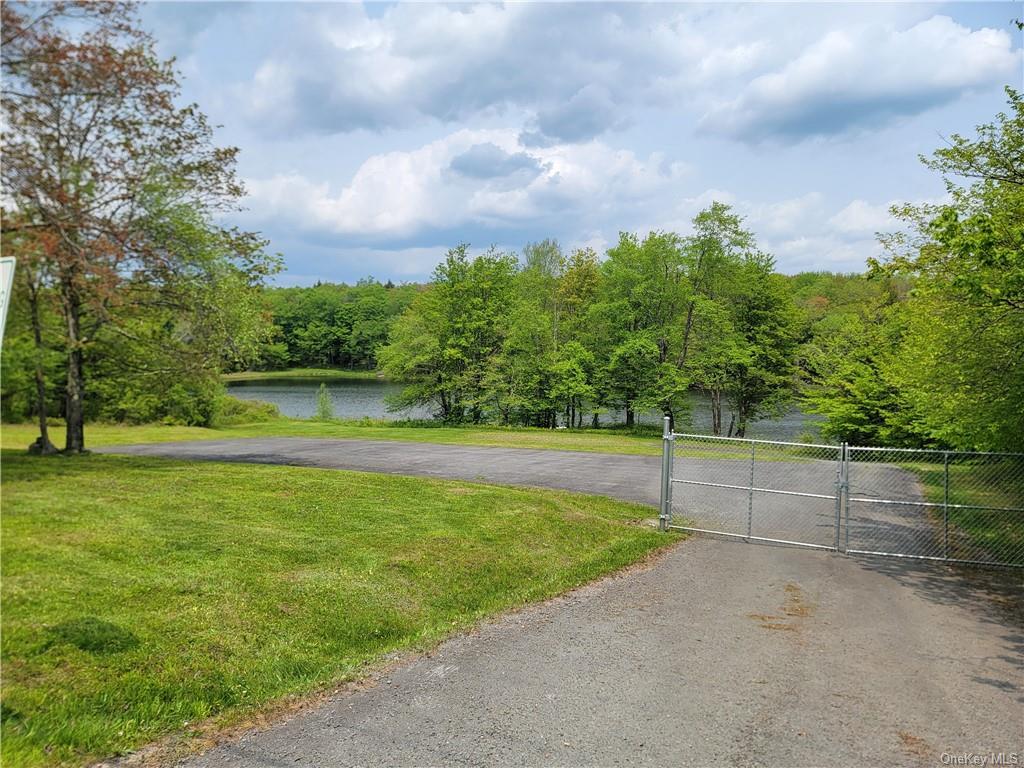 172 Eagles Ridge Way, Parksville, New York image 34