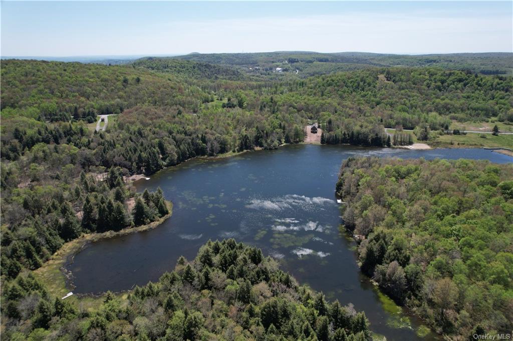172 Eagles Ridge Way, Parksville, New York image 9
