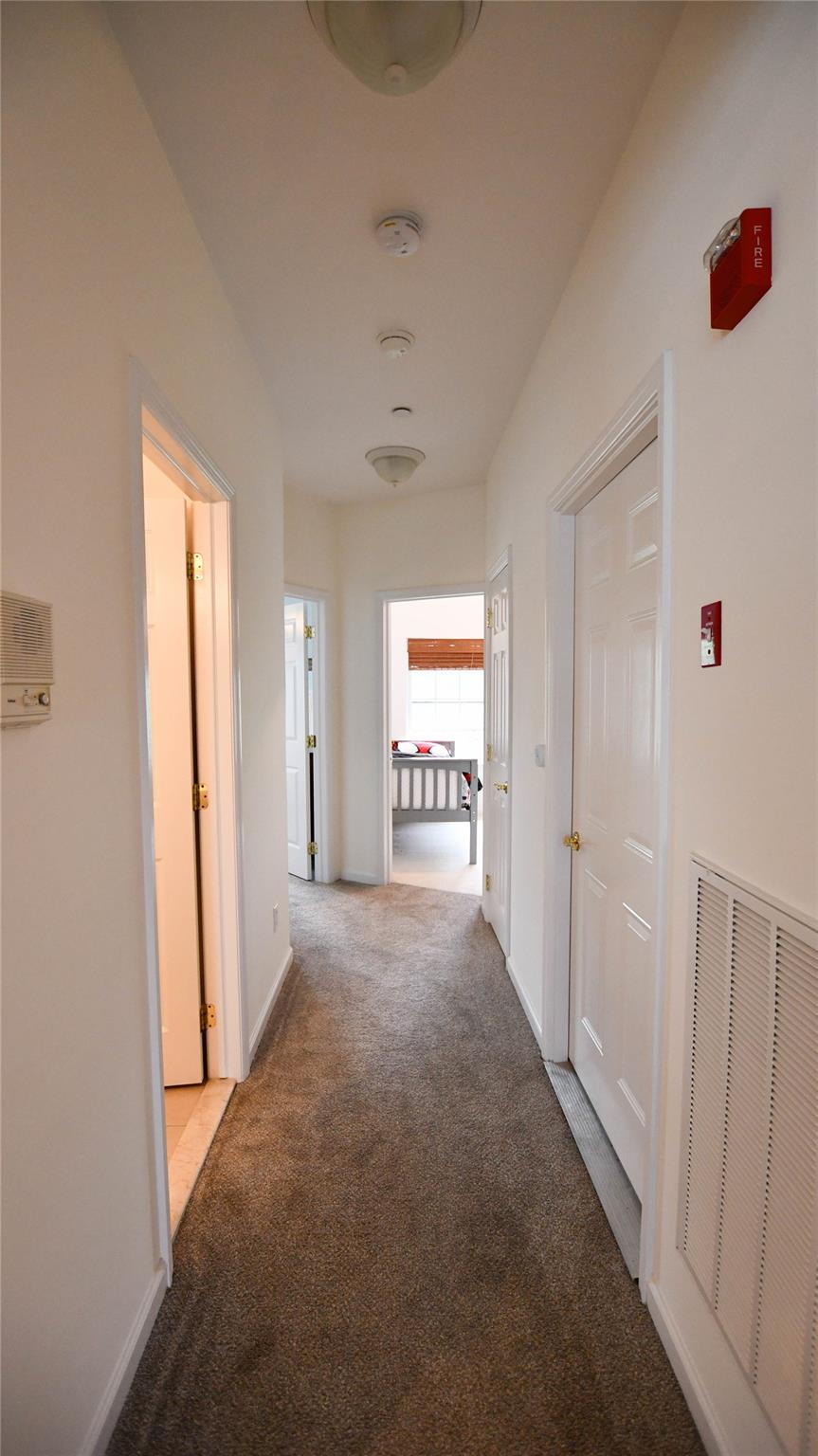 802 Emily Drive, Patchogue, New York image 15