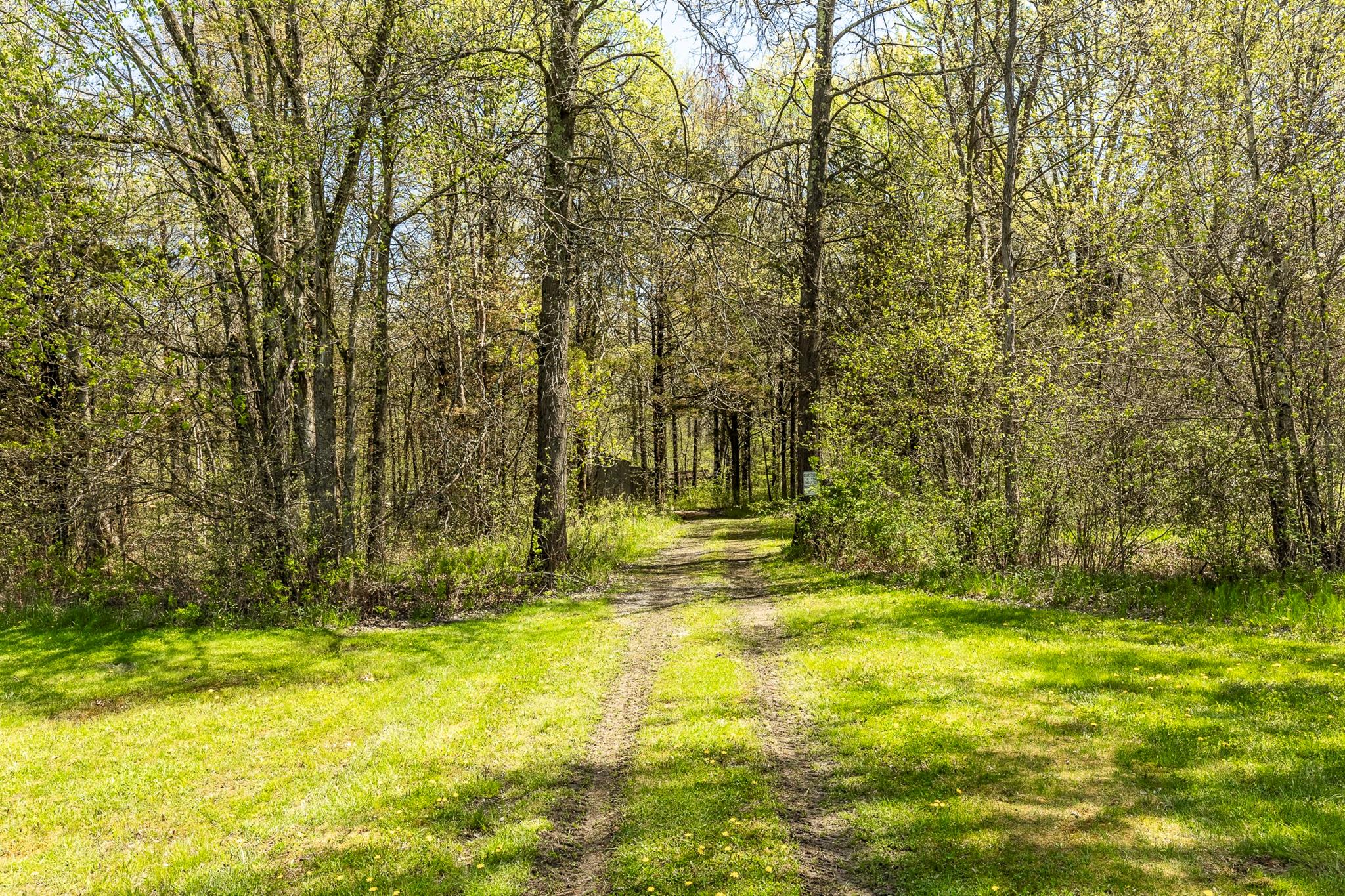 95 Lasher Road, Tivoli, New York image 23