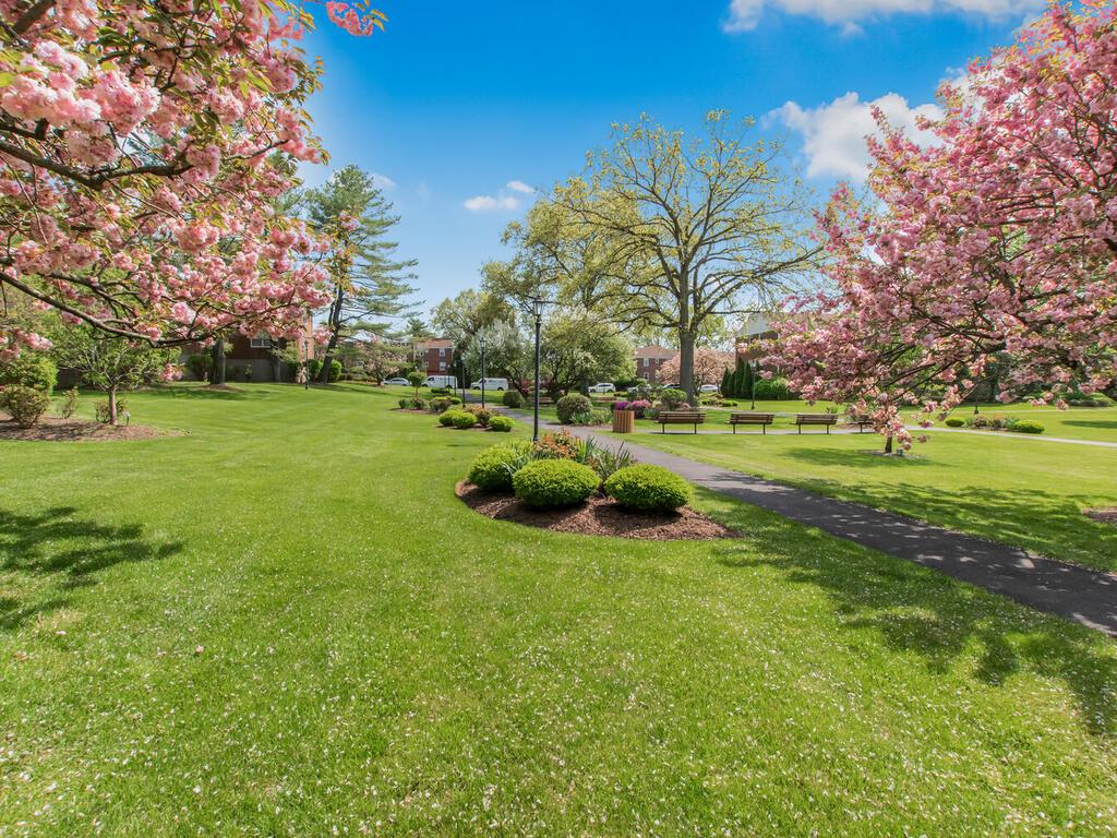 10 Bryant Crescent #2D, White Plains, New York image 17