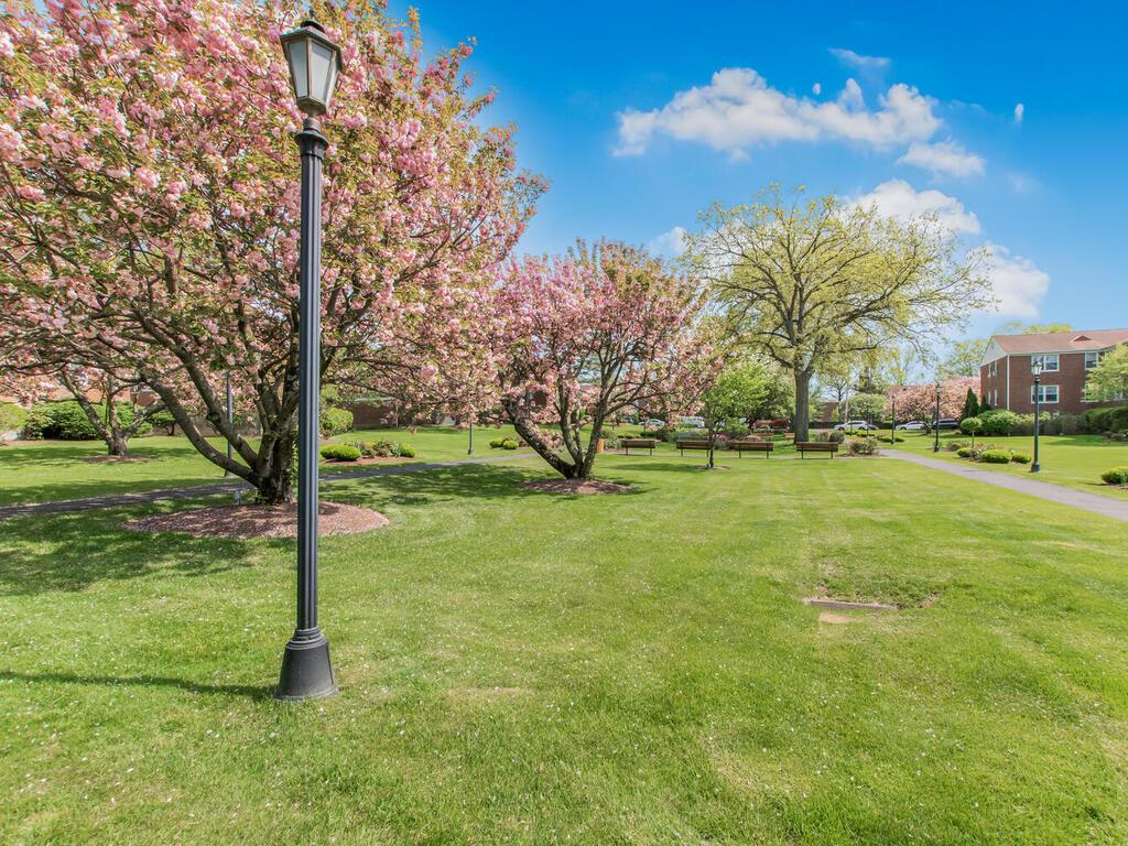 10 Bryant Crescent #2D, White Plains, New York image 16