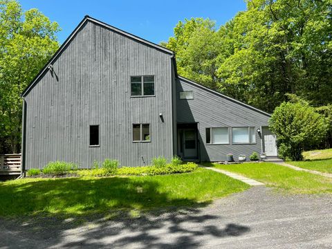 9 Munchkin Lane Kingston NY 12401