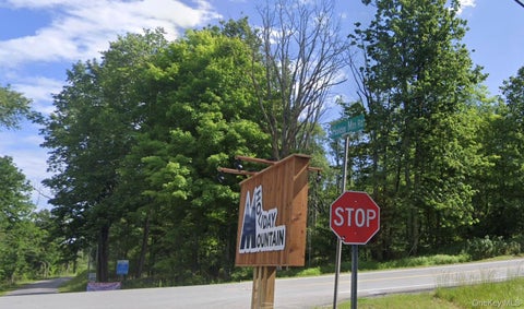 Vacant Land For Sale - Edwards Road<br/> Rock Hill, NY 12775