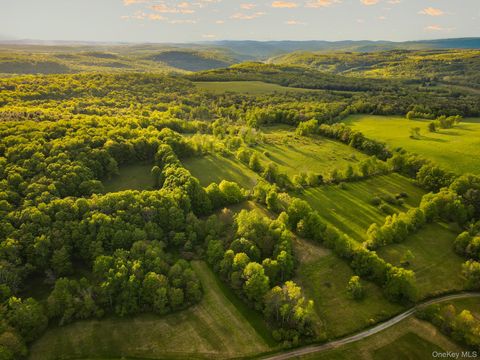 1 Hall Hill Road Parksville NY 12768