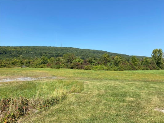 243 VINEYARD AVE, HIGHLAND, NY 12528 - Image f011257d2926ed757f9daa4eabfe32f7/1850526863
