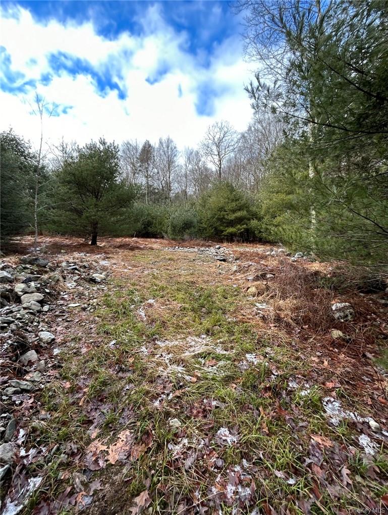 143 Brandt Road