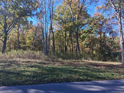 Vacant Land For Sale - South Road<br/> Germantown, NY 12526