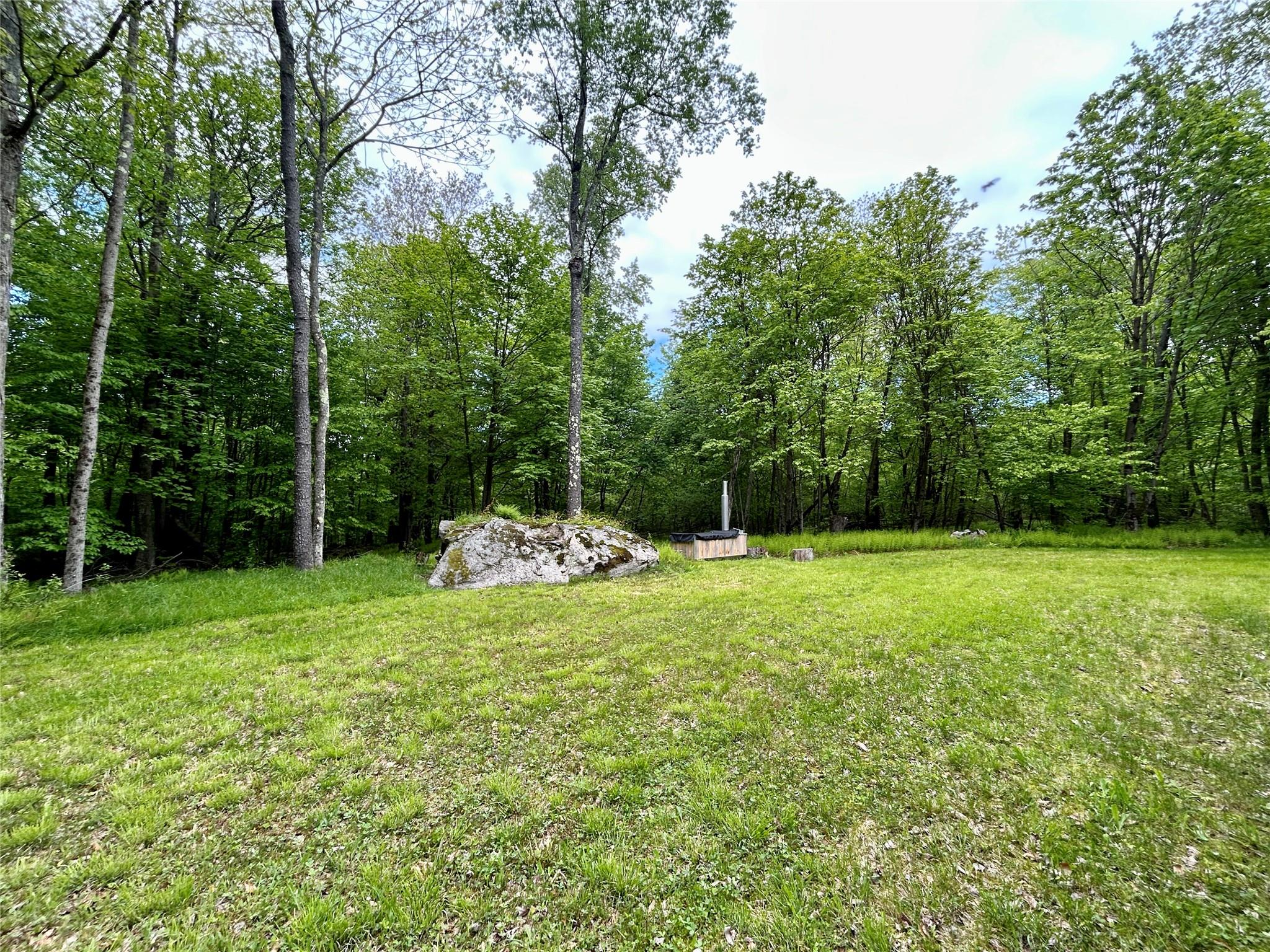 247 Maccabee Road, Roscoe, New York image 8