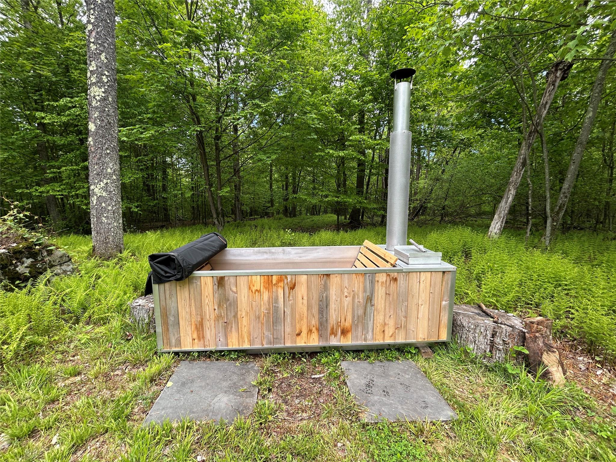 247 Maccabee Road, Roscoe, New York image 7