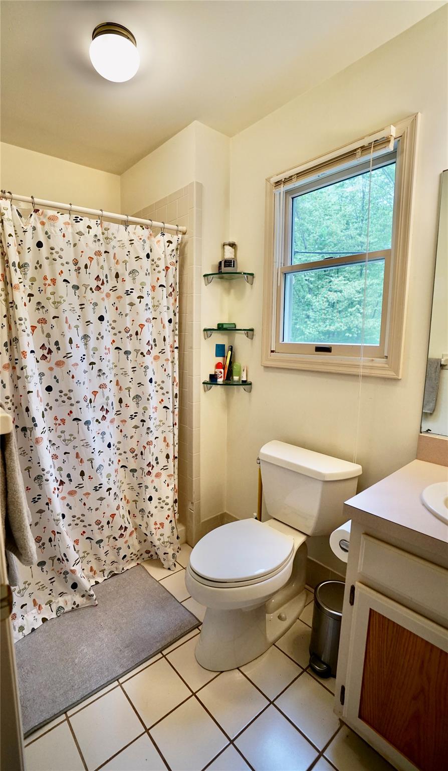 247 Maccabee Road, Roscoe, New York image 37